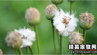服裝店銷售實習(xí)報告(服裝店銷售實習(xí)報告)