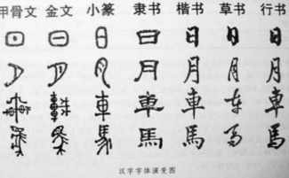 眼縫中的愛(眼縫中的愛)