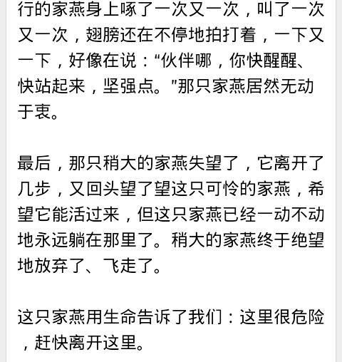 動人的作文開頭結(jié)尾