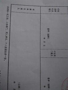 事業(yè)編政審個人總結(jié)(事業(yè)人員政審個人總結(jié))