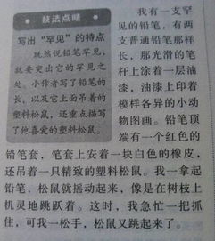 撿到東西歸還作文開頭