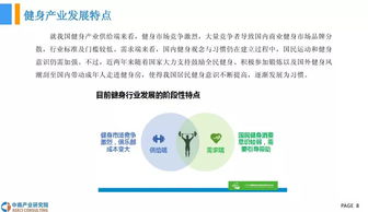 健身器材市場(chǎng)調(diào)研報(bào)告(健身器材市場(chǎng)調(diào)研報(bào)告)
