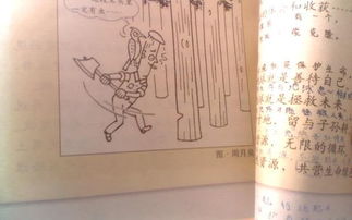 我們上六級了作文600字作文開頭和結(jié)尾