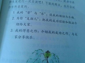 我的苦與樂(lè)作文1000字作文開(kāi)頭
