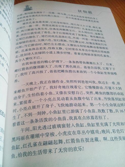描述外貌自己作文開頭