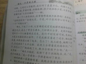 真情敘事作文開頭結尾