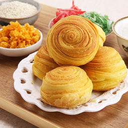 壽縣大救駕作文開(kāi)頭
