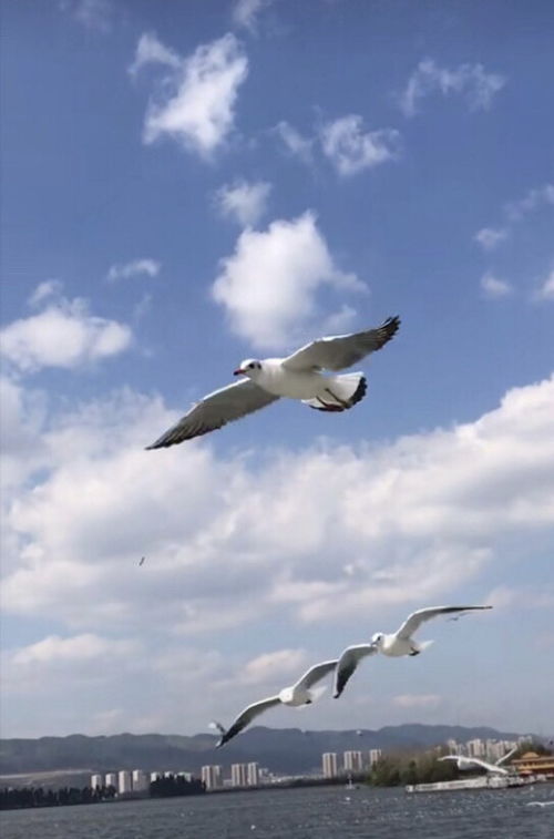 成長中讓我們動情的事作文開頭