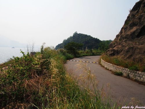 那道風(fēng)景別樣美麗作文好開頭