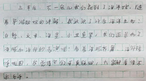 一次難忘的經(jīng)歷作文開頭結(jié)尾長