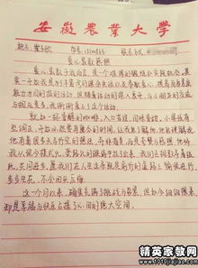 社區(qū)服務(wù)活動報告格式模板(社區(qū)服務(wù)活動報告格式模板)