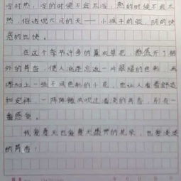 曬一曬我自己作文開頭