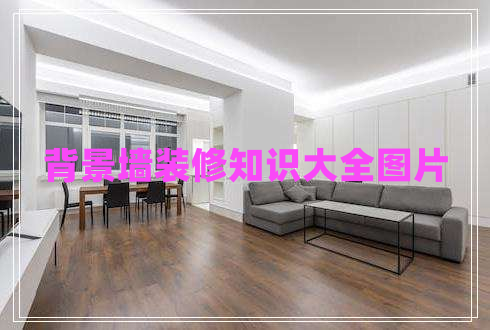 背景墻裝修知識(shí)大全圖片 背景墻裝修知識(shí)大全圖片