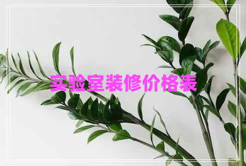 實(shí)驗(yàn)室裝修價(jià)格表
