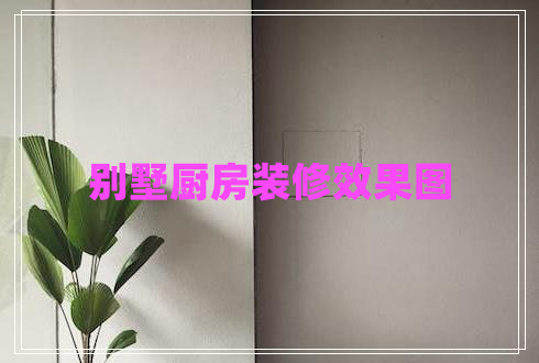 別墅廚房裝修效果圖