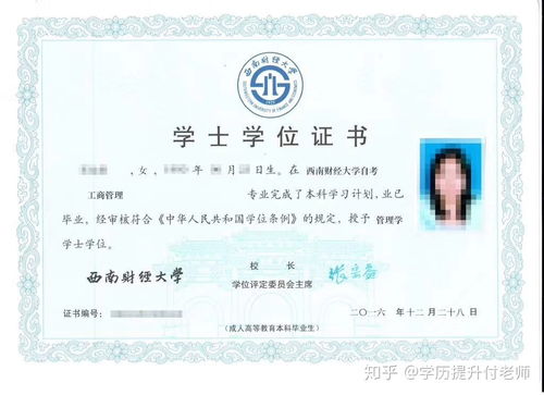 本科學(xué)位英語自考報(bào)名