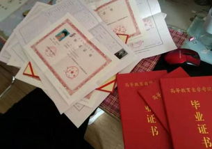 上?？鐚?zhuān)業(yè)自考本科