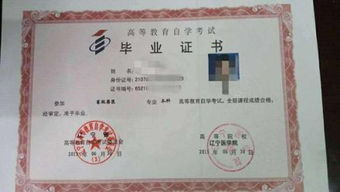 美術(shù)教育大專可以自考本科嗎