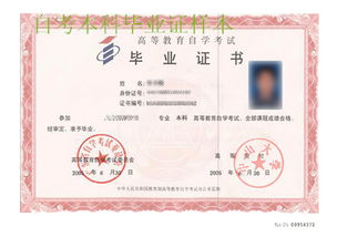 自考?？飘厴I(yè)可以考全日制本科嗎