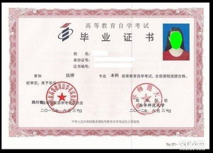 數(shù)字媒體技術自考本科科目