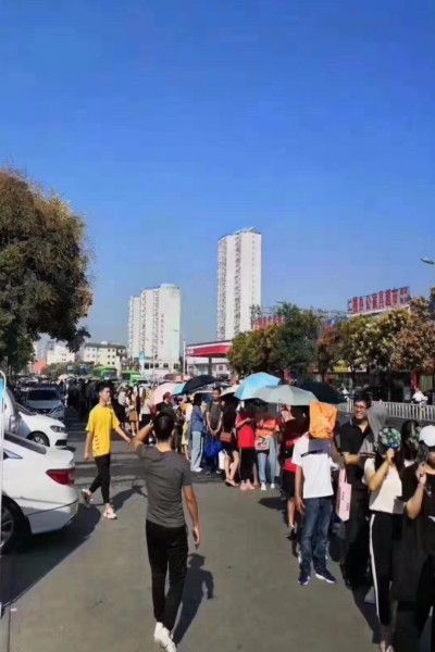 河南省自考本科服務(wù)平臺官網(wǎng)