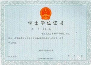 自考本科算全日制教育嗎
