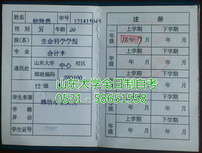 山東大學全日制自考本科幾