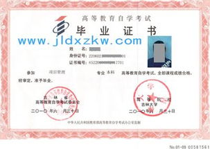 自考本科在讀可以考四級嗎