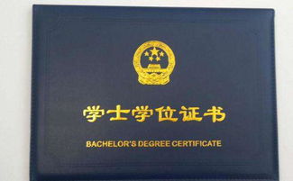 自考本科拿到學位證比例