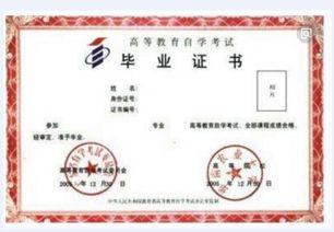 《財務(wù)會計與審計》專業(yè)自考本科