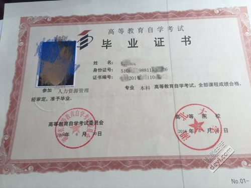中專學前教育自考大專本科