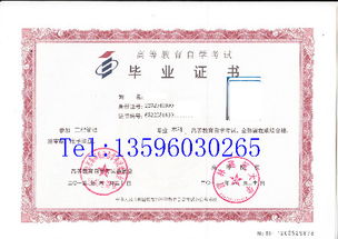 自考計(jì)算機(jī)專(zhuān)業(yè)本科就業(yè)