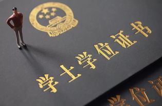 自考的本科學歷企業(yè)收嗎