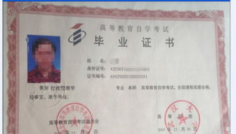 武漢大學(xué)自考本科通過率