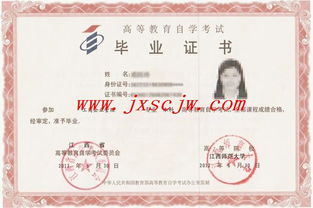 大專本科都是自考考研