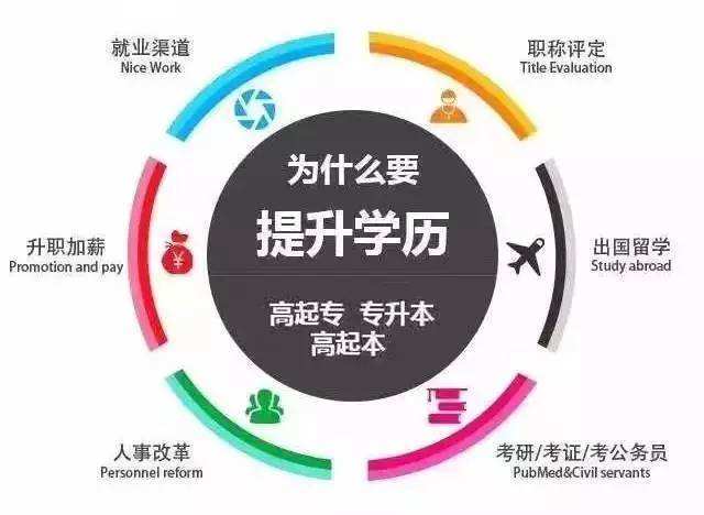 自考本科求職簡歷