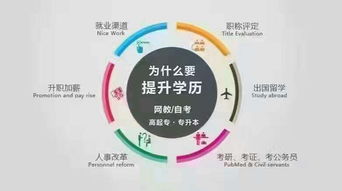 大專醫(yī)學自考別的本科有用嗎