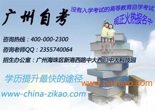 自考本科學哪些課程