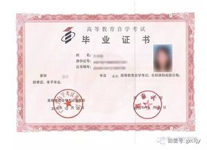 自考專科或本科要讀幾