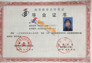 自考本科和自考?？埔x一樣嗎