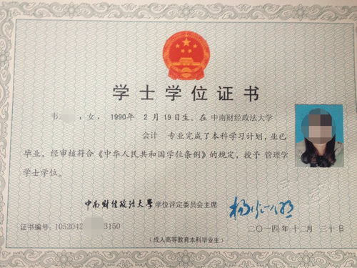 自考本科有中文專業(yè)