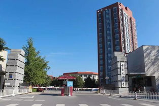 自考中國政法大學本科學歷