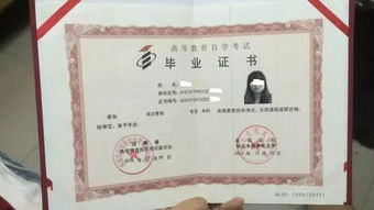 河北師大自考英語本科真題