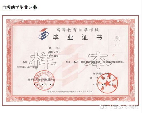 高職擴(kuò)招與自考本科