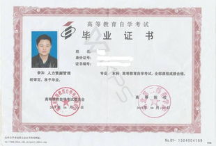 統(tǒng)考專科和自考本科哪里好