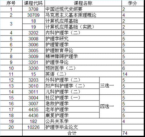 安徽省護(hù)理學(xué)自考本科