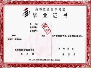 自考本科與?？莆膽{哪個含金量高