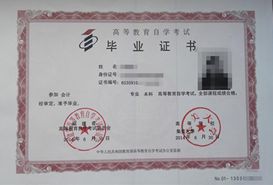 會(huì)計(jì)專業(yè)自考本科真題