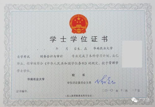 通化自考本科培訓(xùn)