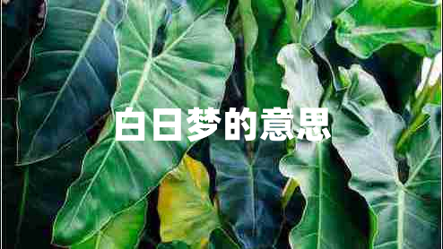 白日夢(mèng)的意思